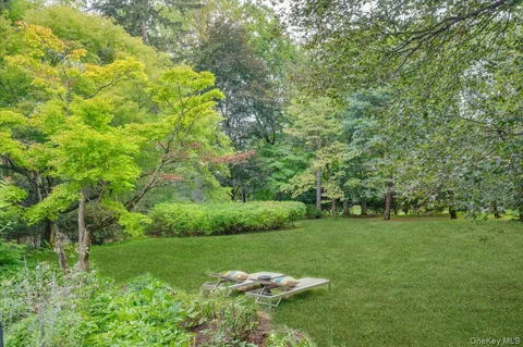 a view of a grassy field with trees