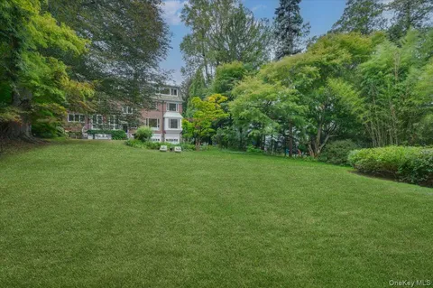 a view of a big yard with plants and large trees