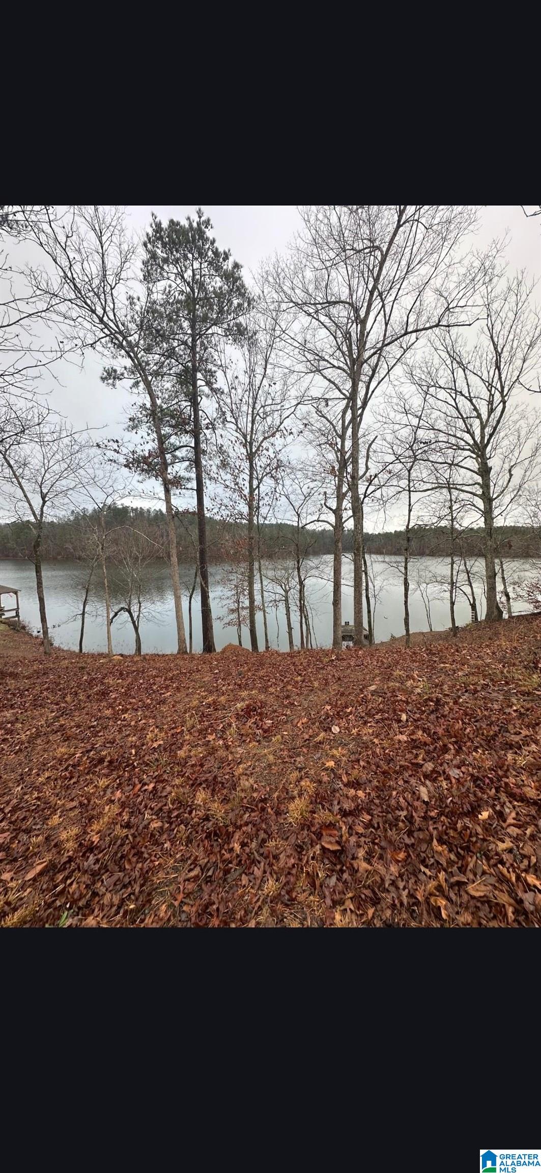 Lot 8 Eagle Point Road, Unit 1 Alexander City, AL 35010 - Photo 9 of 14