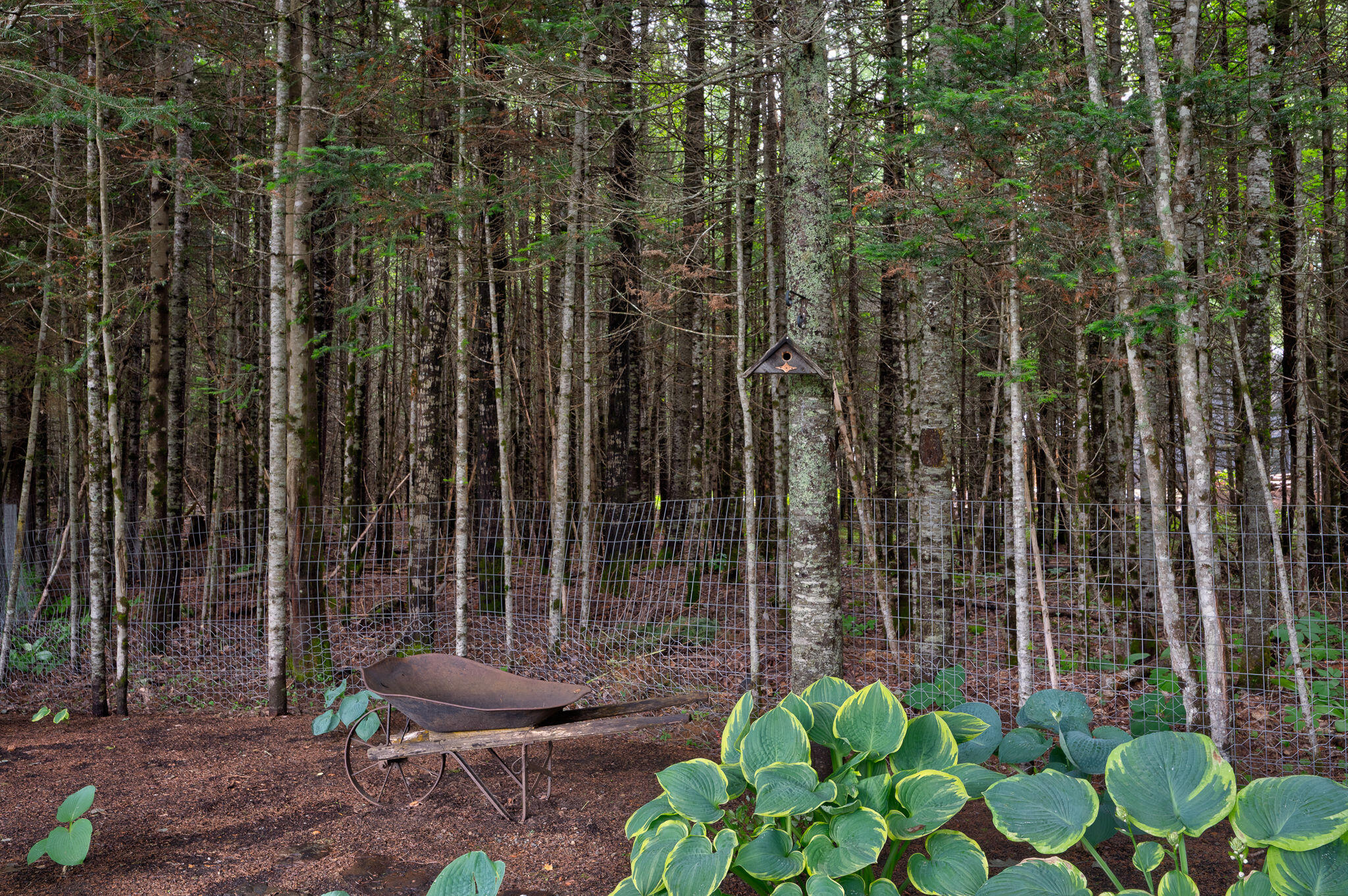 178 Kennebago Road Stratton, ME 04982 - Photo 29 of 125 178_Kennebago-070
