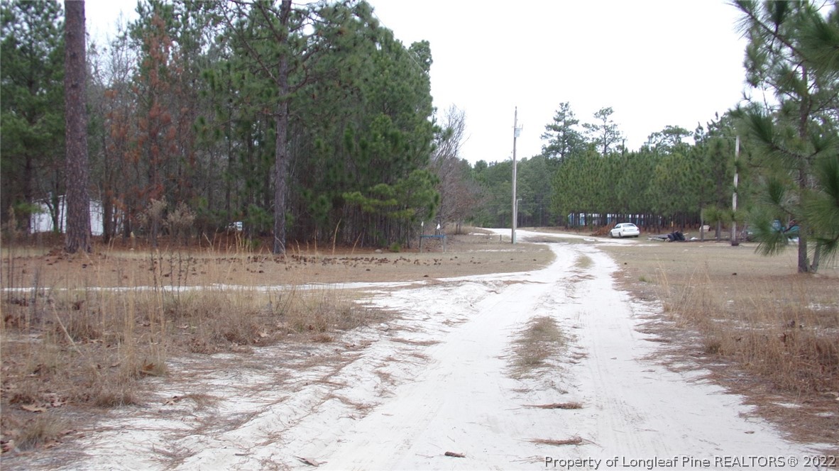 128 Dodson Road Rockingham, NC 28379 - Photo 25 of 25 a view of a yard with trees in the background