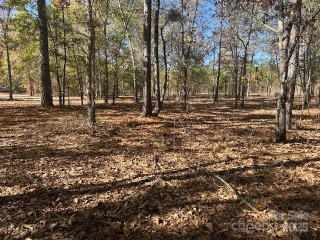 a view of outdoor space with trees