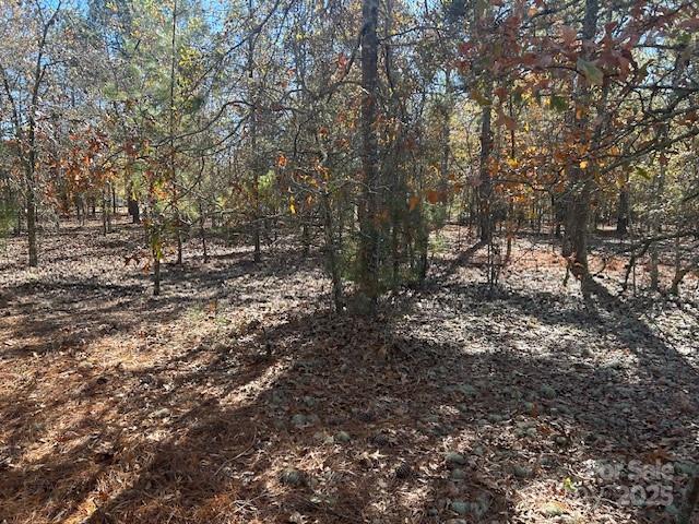 1060 Neds Creek Road Kershaw, SC 29067 - Photo 12 of 16 a view of a large tree