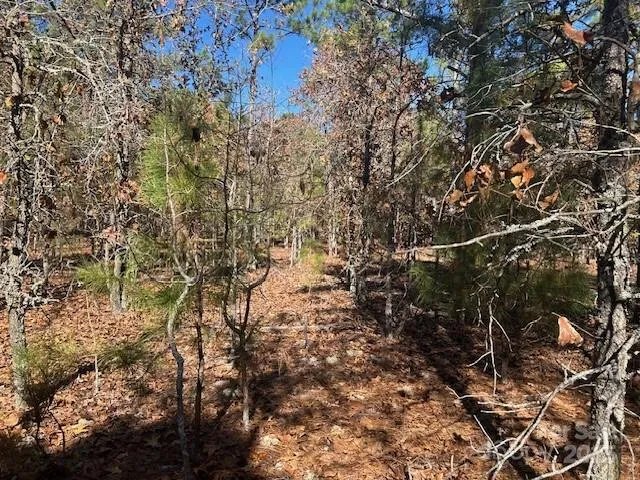 a view of outdoor space with lots of trees