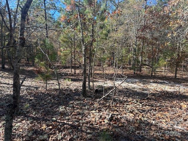 1060 Neds Creek Road Kershaw, SC 29067 - Photo 15 of 16 a view of outdoor space with lots of trees