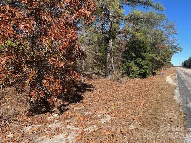 a view of a dry yard with trees