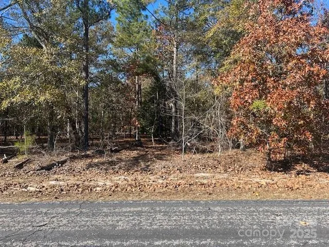 a view of a yard with large trees
