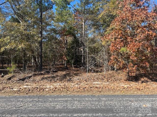 1060 Neds Creek Road Kershaw, SC 29067 - Photo 4 of 16 a view of a yard with large trees