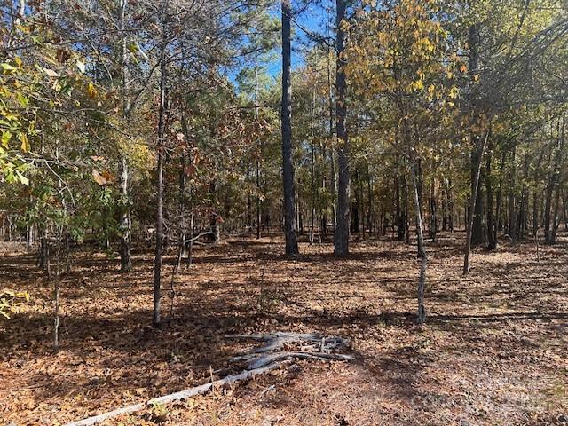 1060 Neds Creek Road Kershaw, SC 29067 - Photo 5 of 16 a view of a forest filled with trees