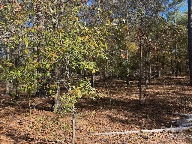 a view of a yard with plants and trees