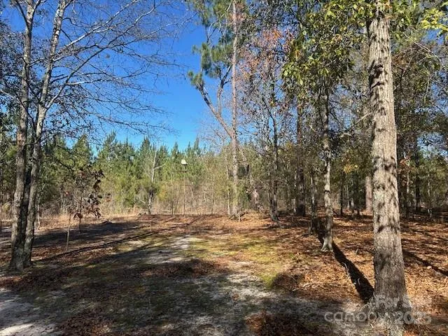 a view of backyard with green space