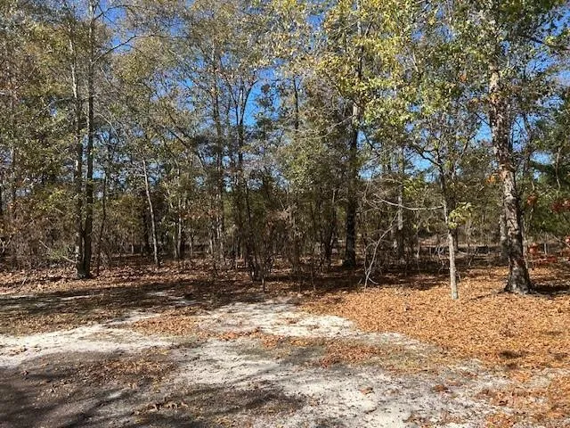 a view of outdoor space with trees