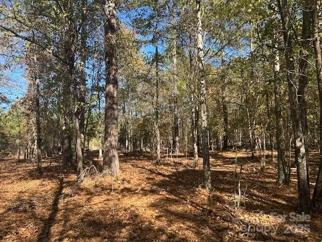 a view of outdoor space with trees