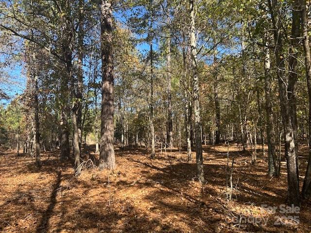 1060 Neds Creek Road Kershaw, SC 29067 - Photo 9 of 16 a view of outdoor space with trees