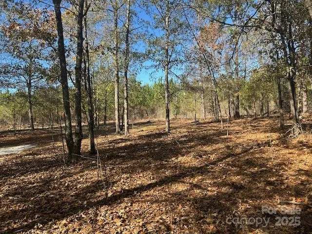a view of road with trees