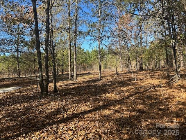 1060 Neds Creek Road Kershaw, SC 29067 - Photo 10 of 16 a view of road with trees