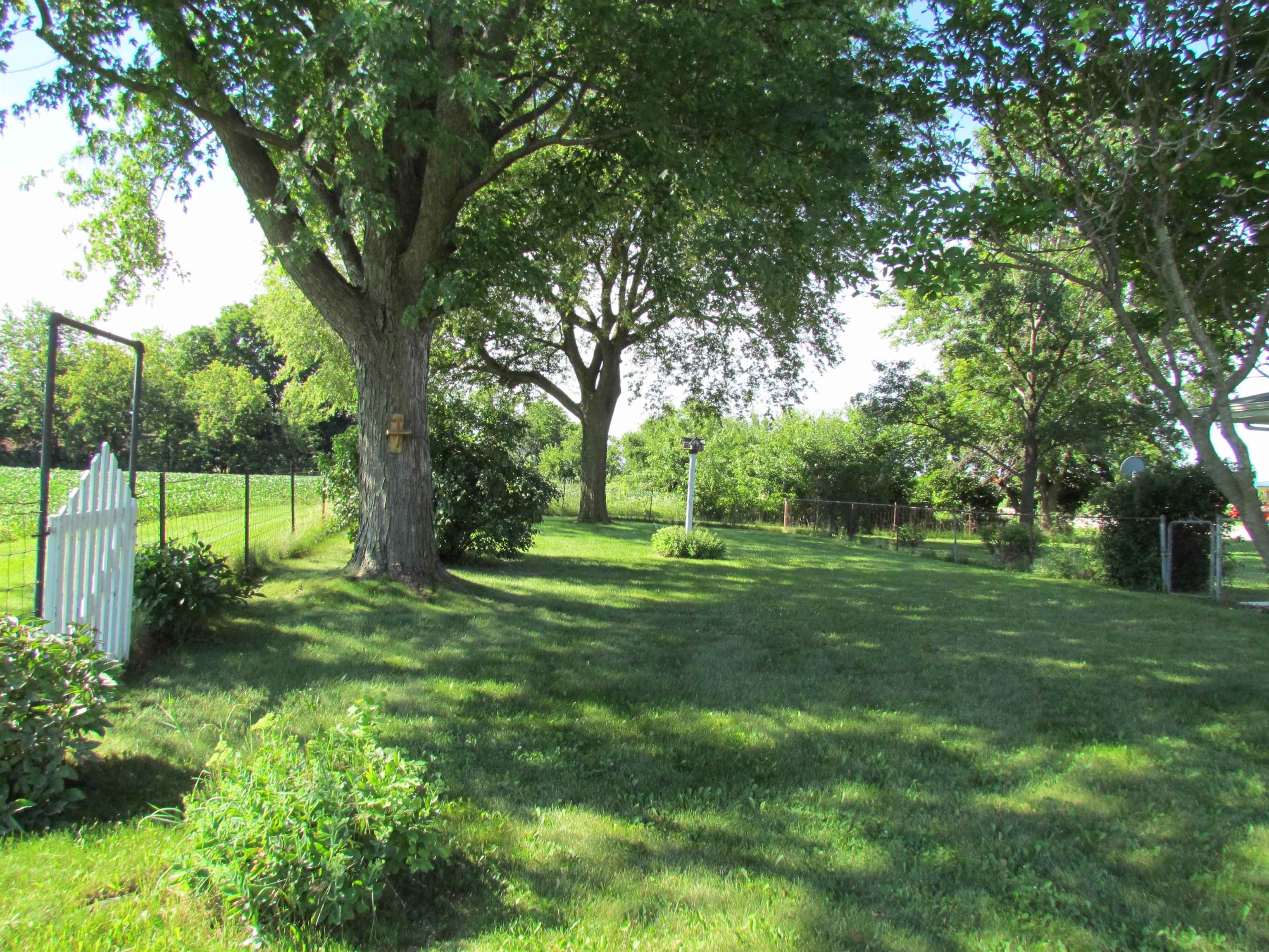 2475 North Pecatonica Road Pecatonica, IL 61063 - Photo 32 of 36 a view of a backyard with large trees