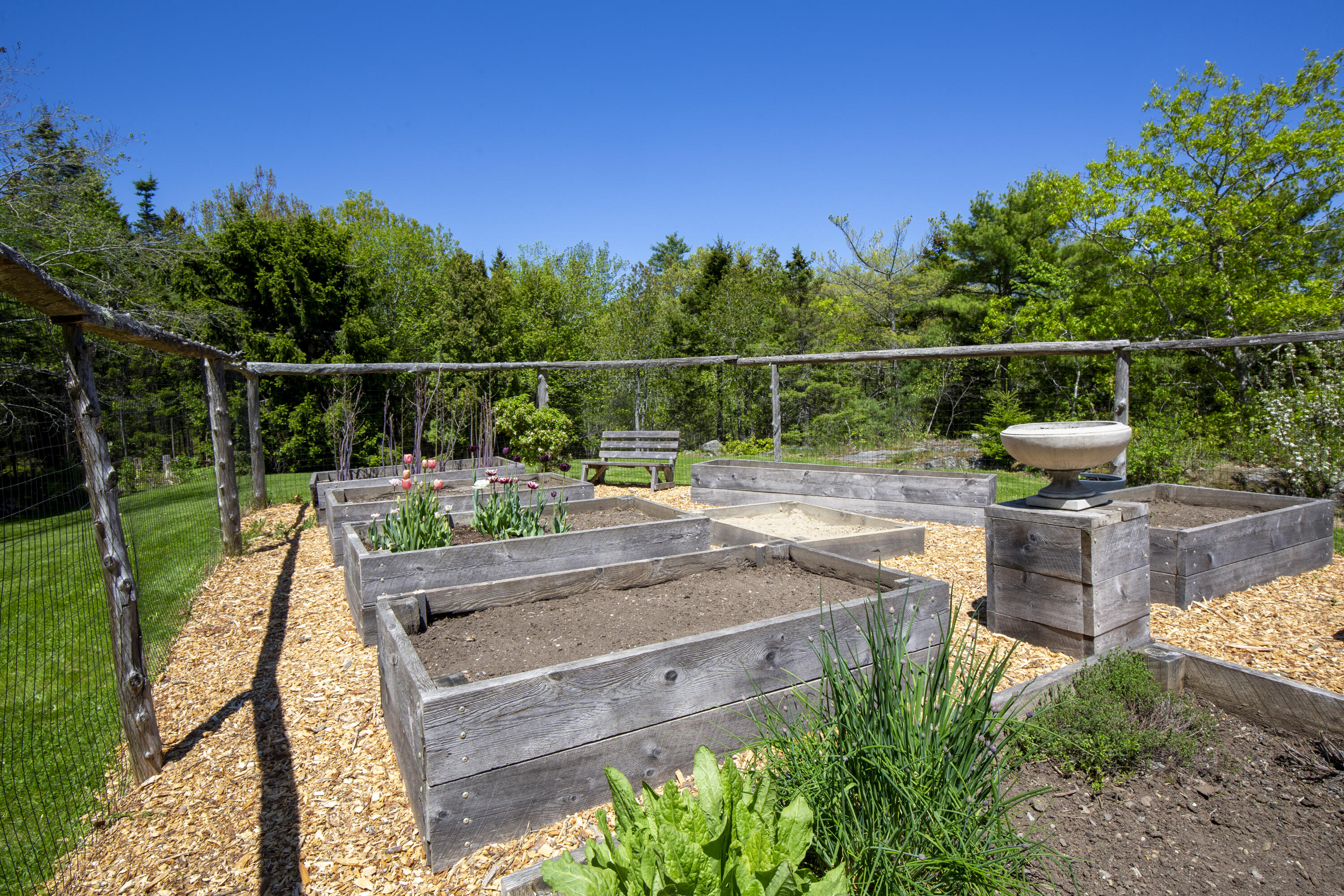 168 Chestnut Street Camden, ME 04843 - Photo 45 of 50 58-168ChestnutSt-Camden-KS