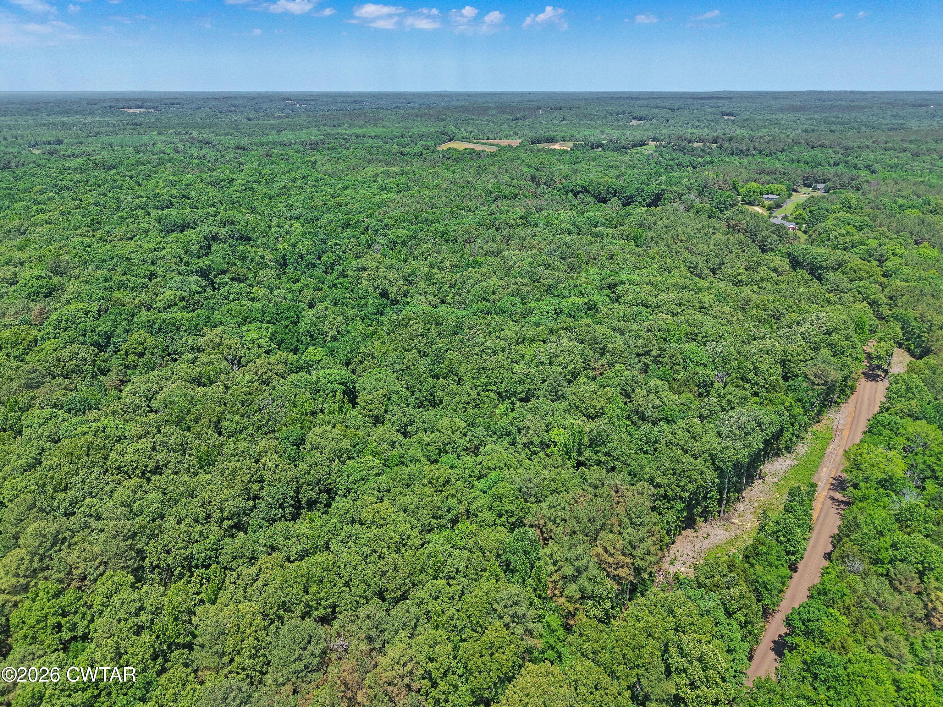 0 Teague Road Toone, TN 38381 - Photo 11 of 25 DJI_20260513125548_0172_D