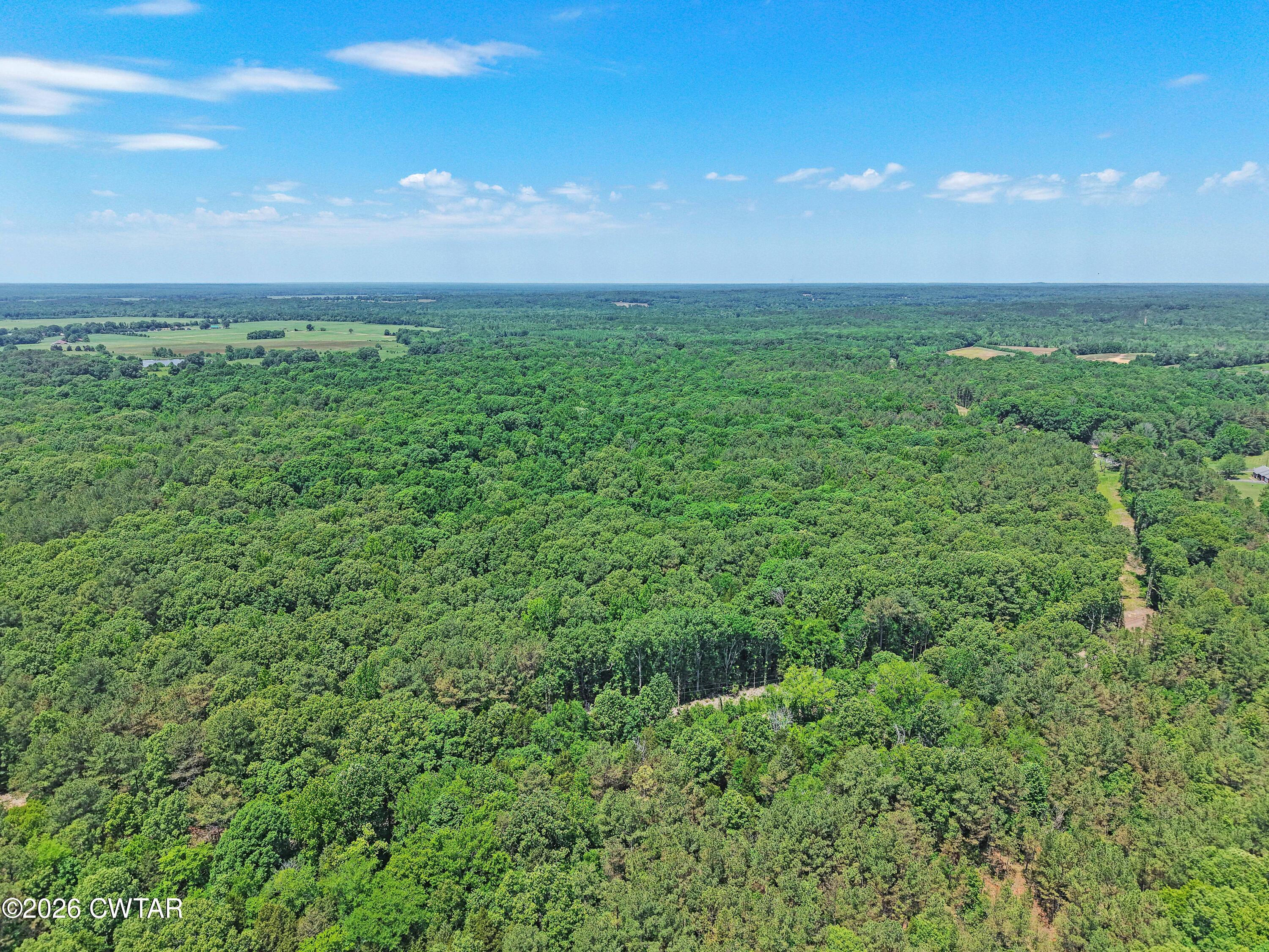 0 Teague Road Toone, TN 38381 - Photo 13 of 25 DJI_20260513125620_0175_D