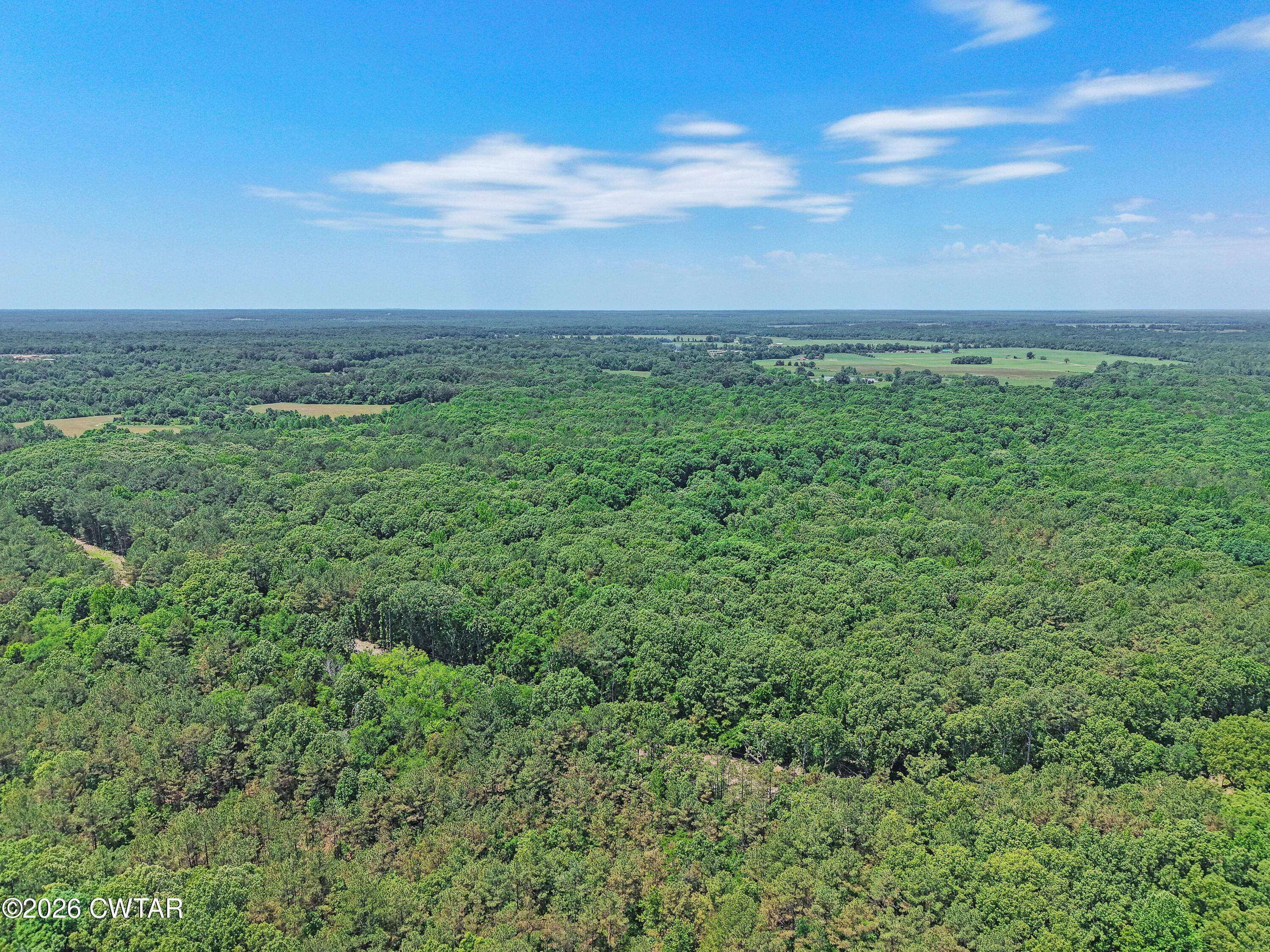 0 Teague Road Toone, TN 38381 - Photo 15 of 25 DJI_20260513125659_0181_D
