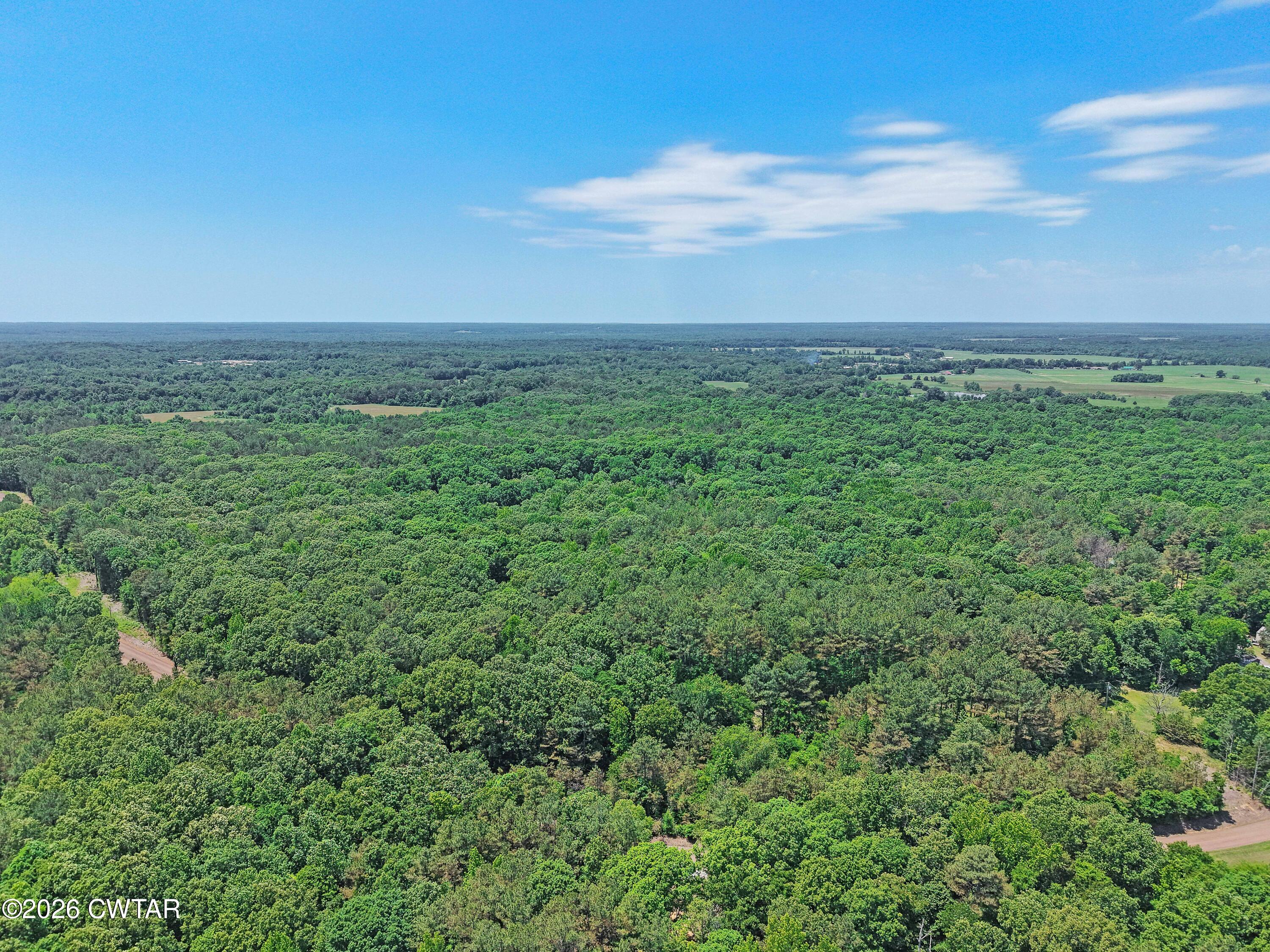 0 Teague Road Toone, TN 38381 - Photo 16 of 25 DJI_20260513125734_0184_D