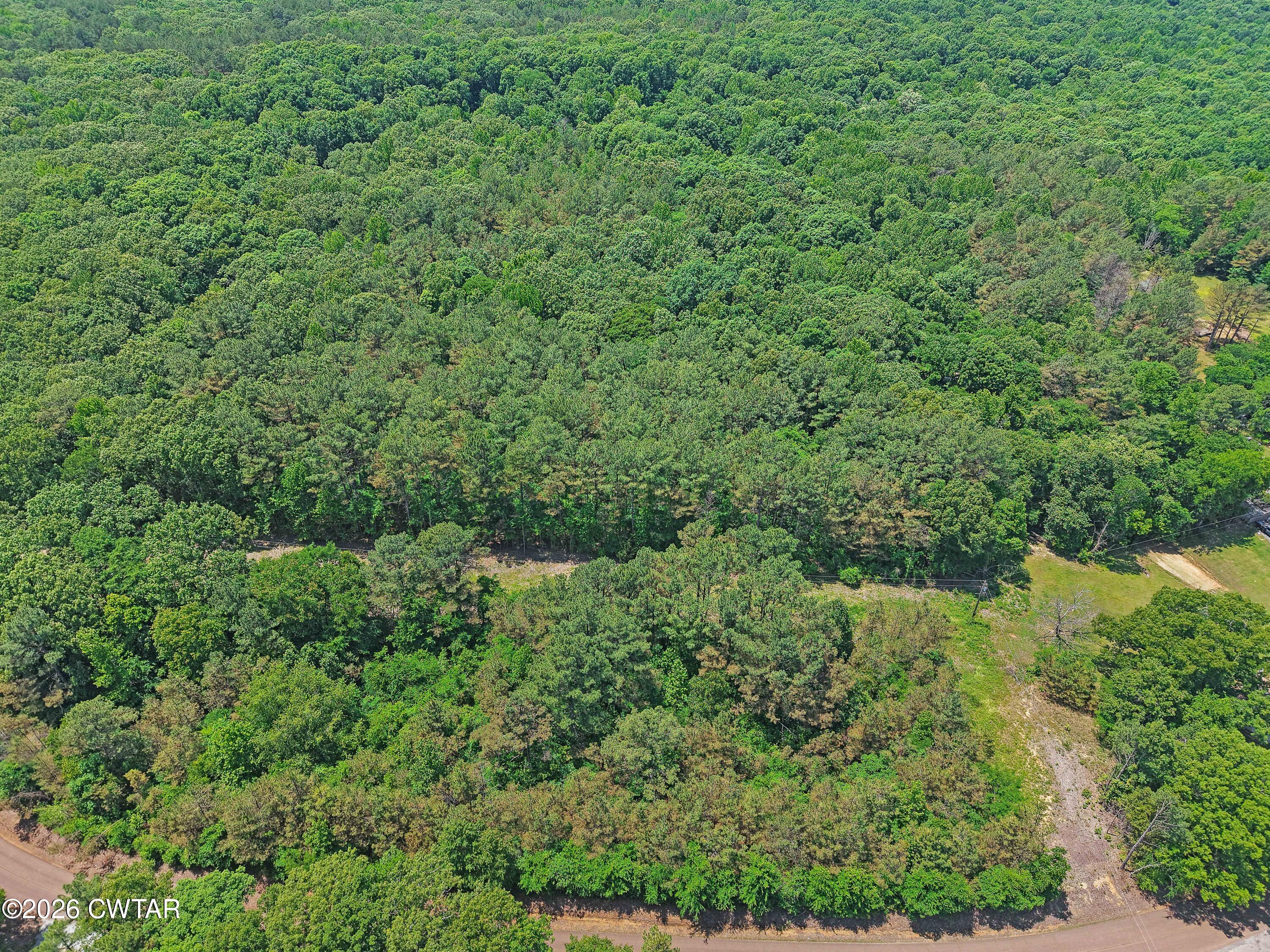 0 Teague Road Toone, TN 38381 - Photo 18 of 25 DJI_20260513125815_0190_D