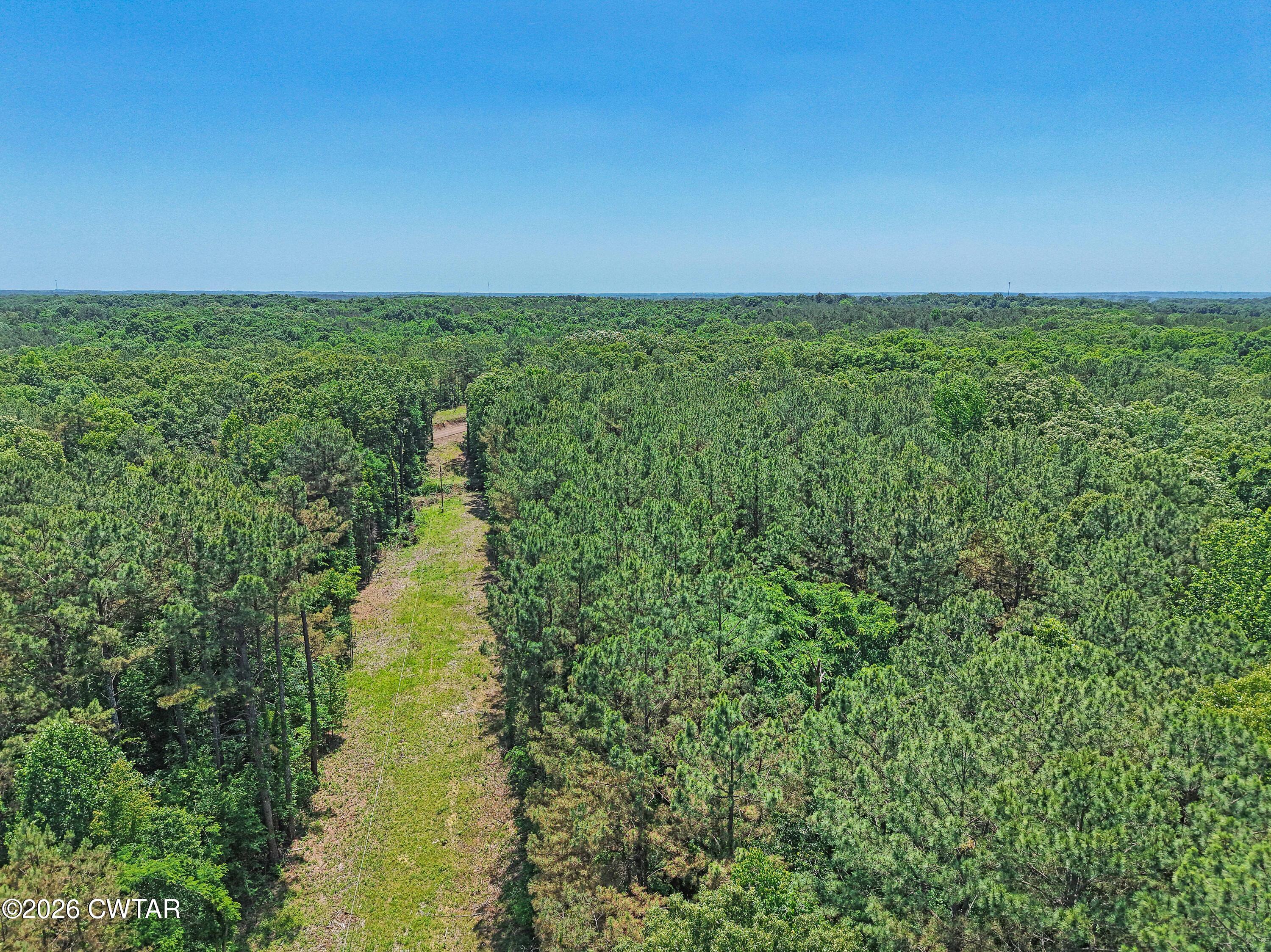 0 Teague Road Toone, TN 38381 - Photo 20 of 25 DJI_20260513125925_0196_D
