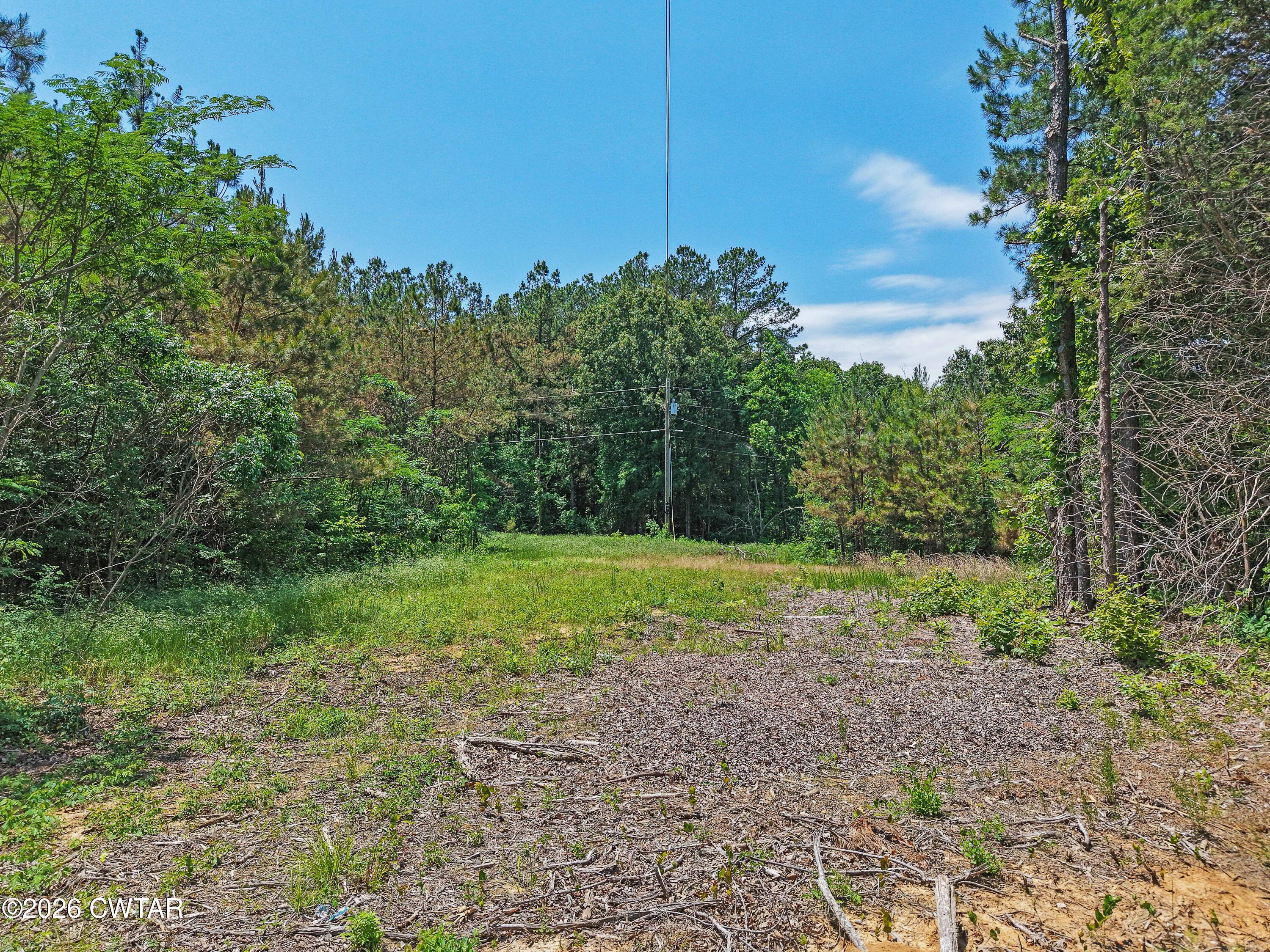 0 Teague Road Toone, TN 38381 - Photo 21 of 25 DJI_20260513130007_0199_D