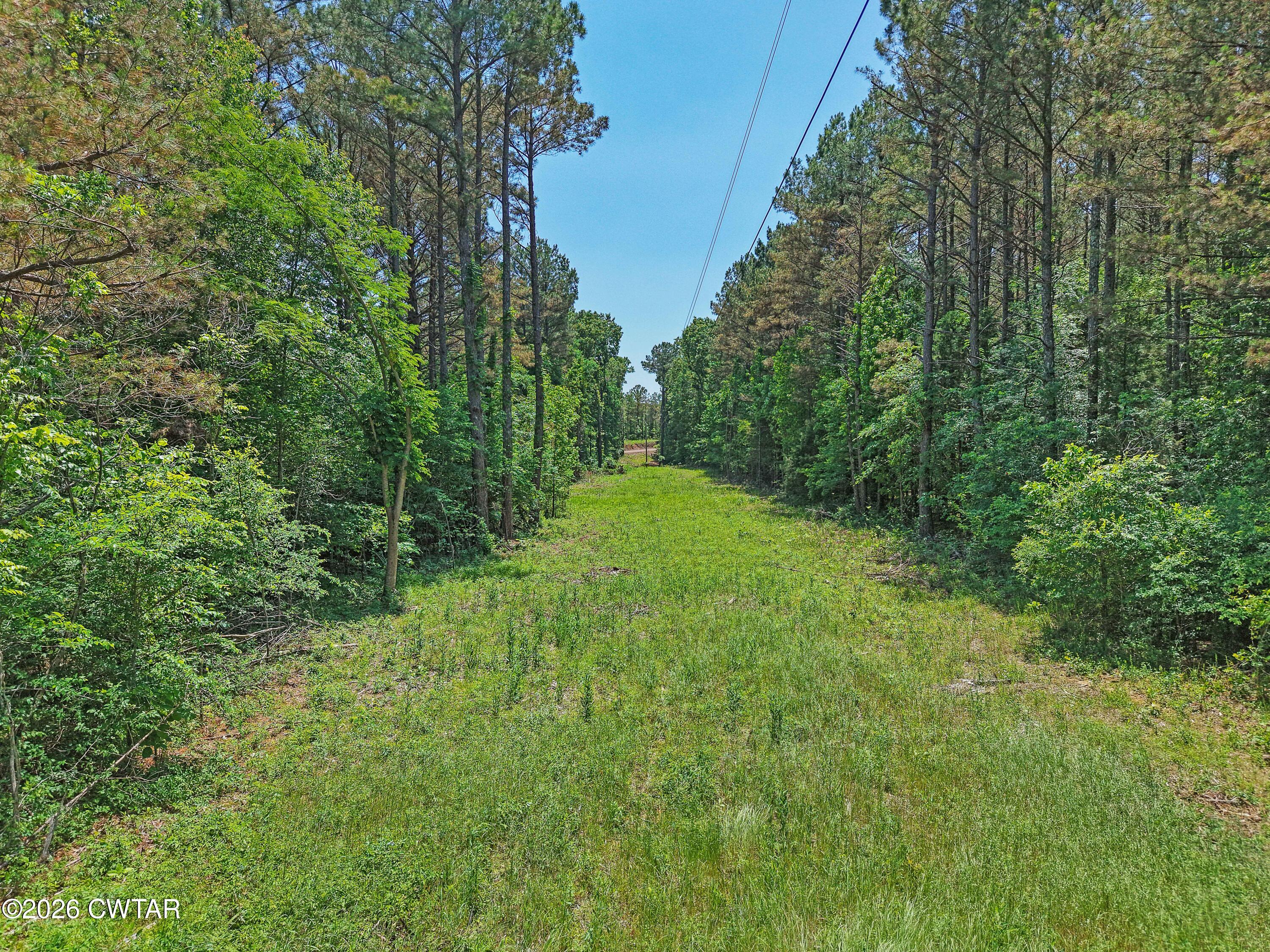 0 Teague Road Toone, TN 38381 - Photo 25 of 25 DJI_20260513130045_0205_D