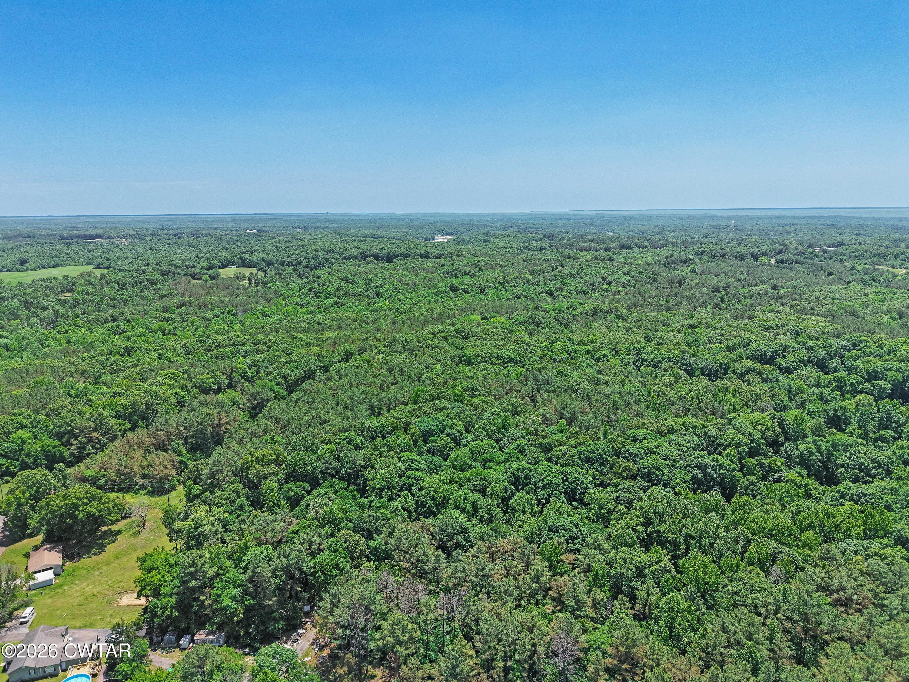 0 Teague Road Toone, TN 38381 - Photo 6 of 25 DJI_20260513125221_0154_D