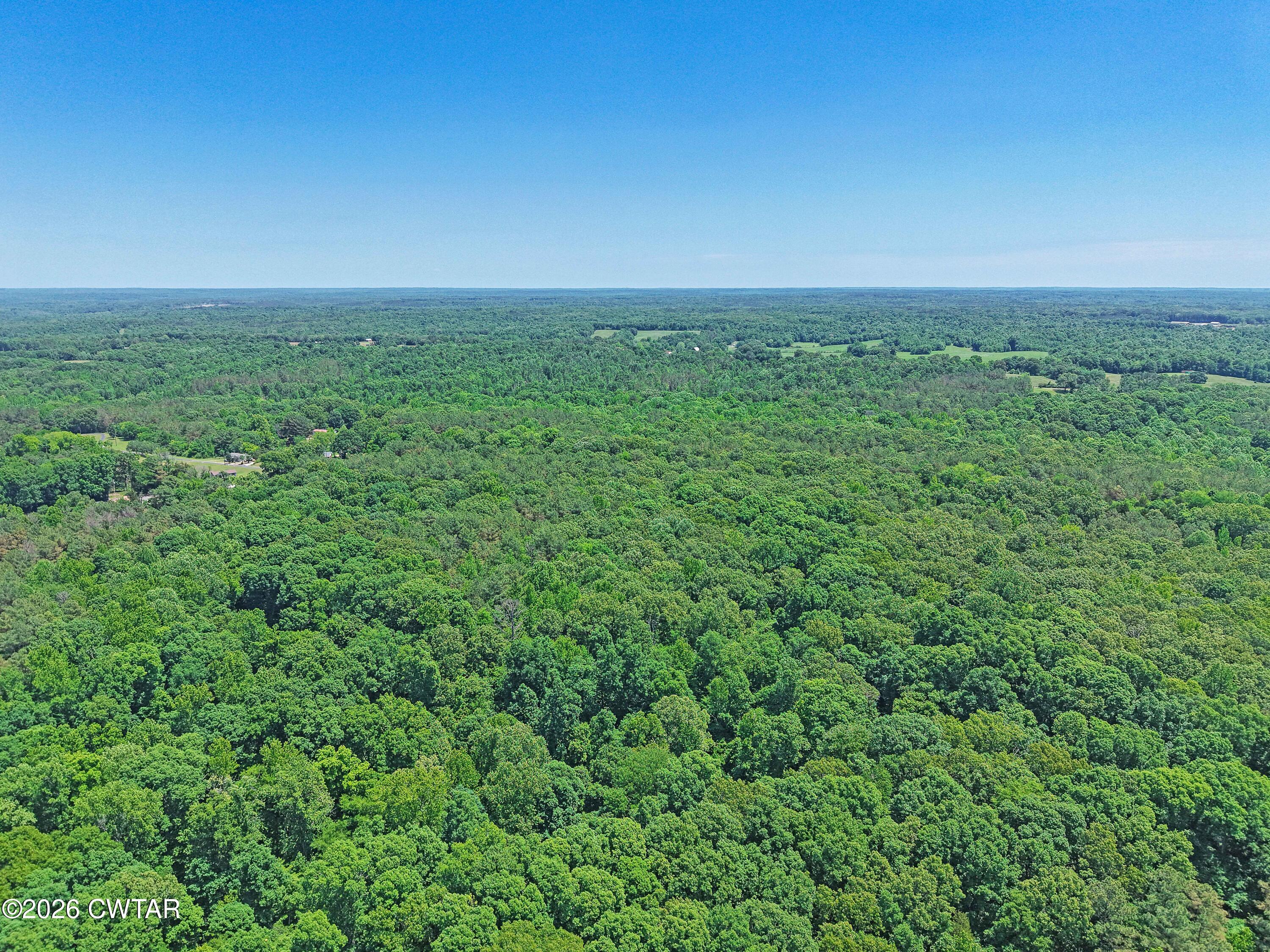 0 Teague Road Toone, TN 38381 - Photo 8 of 25 DJI_20260513125334_0160_D