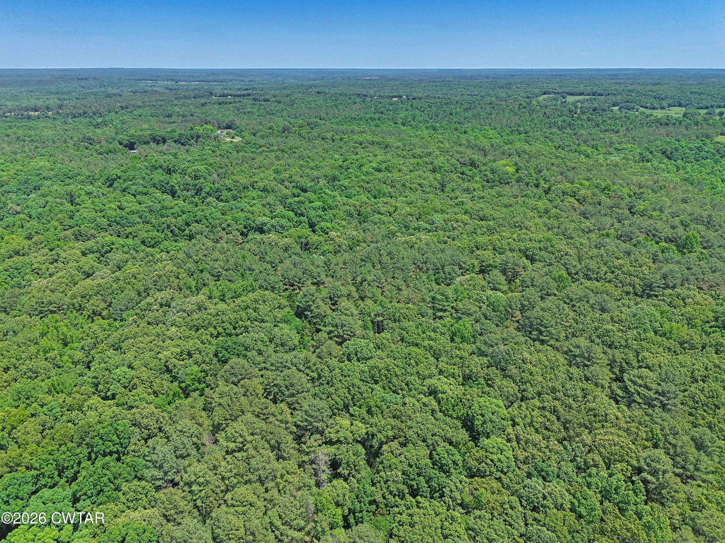 0 Teague Road Toone, TN 38381 - Photo 9 of 25 DJI_20260513125439_0166_D