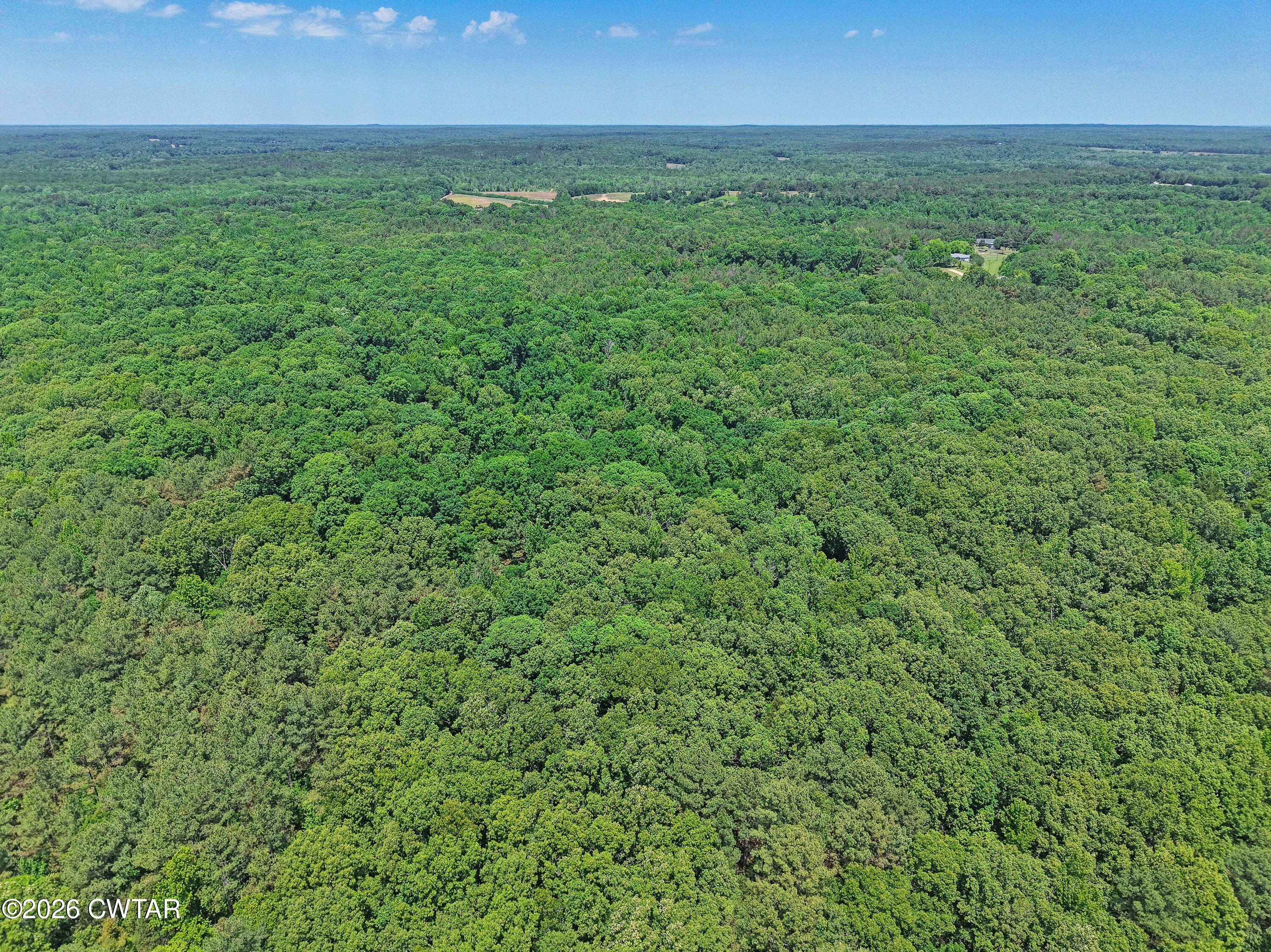 0 Teague Road Toone, TN 38381 - Photo 10 of 25 DJI_20260513125521_0169_D