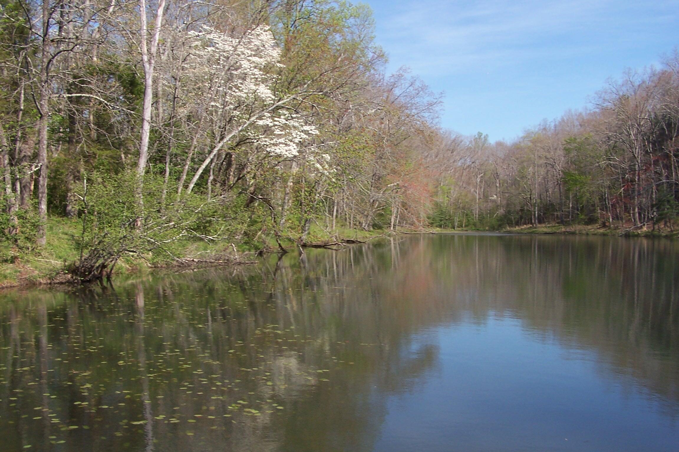 399 Dixon Road Crossville, TN 38571 - Photo 14 of 27 2004-10-02 2004-10-02 001 003