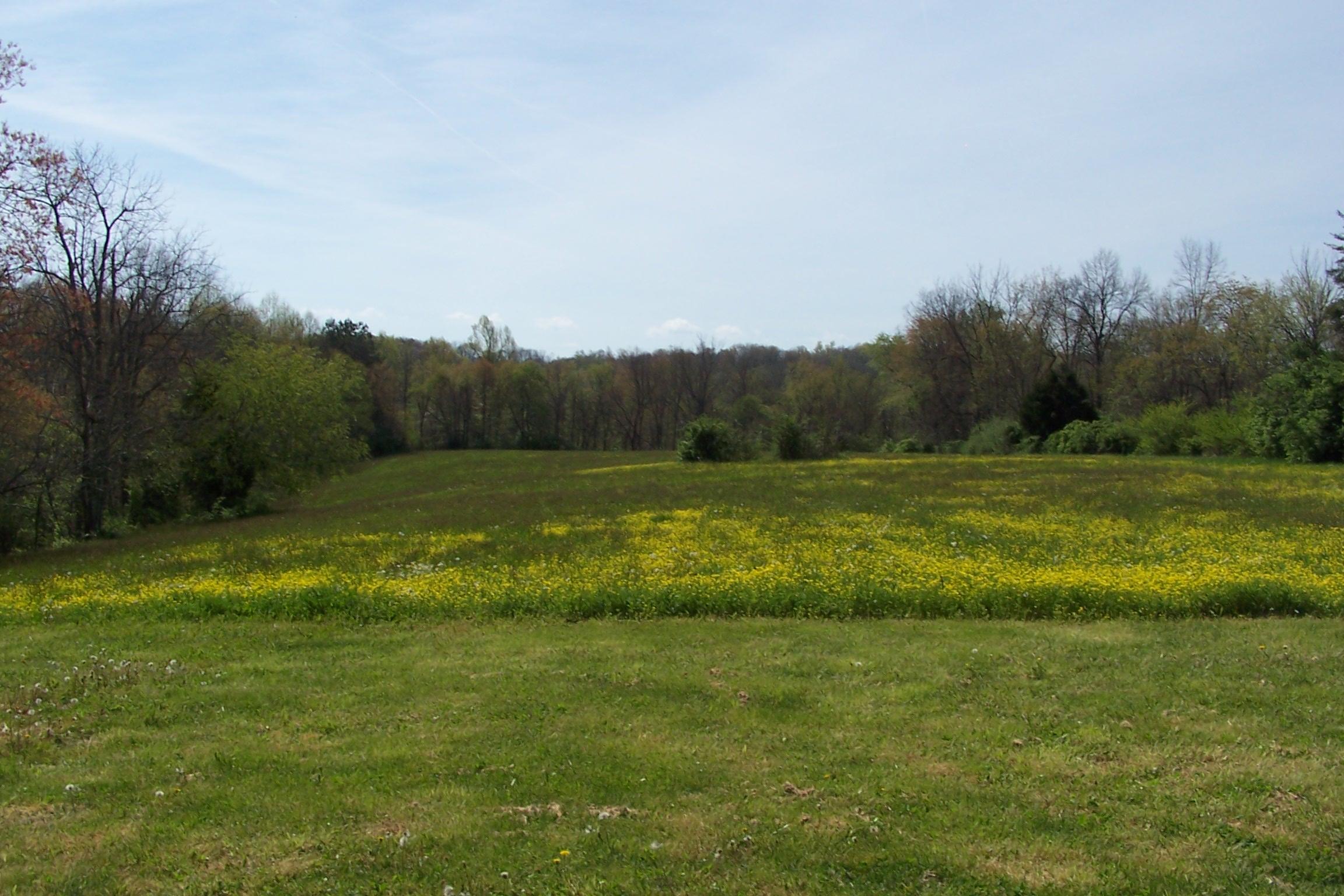399 Dixon Road Crossville, TN 38571 - Photo 5 of 27 2004-10-02 2004-10-02 001 008