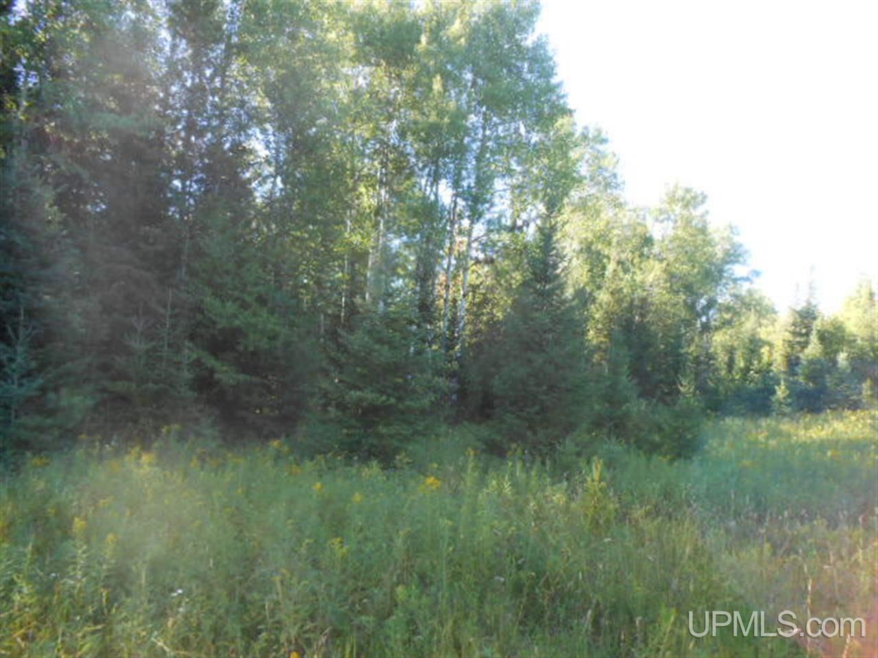 Tbd Bauer Road Bruce Crossing, MI 49912 - Photo 22 of 25 Gallery Image 22