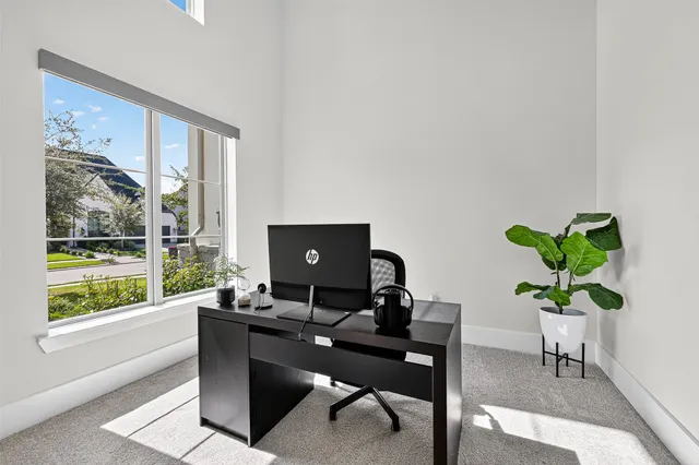 a living room with furniture potted plant and a window