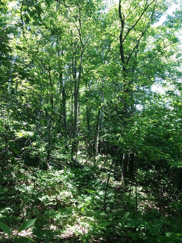 West Whitefish Bay Road Sturgeon Bay, WI 54235 - Photo 15 of 28