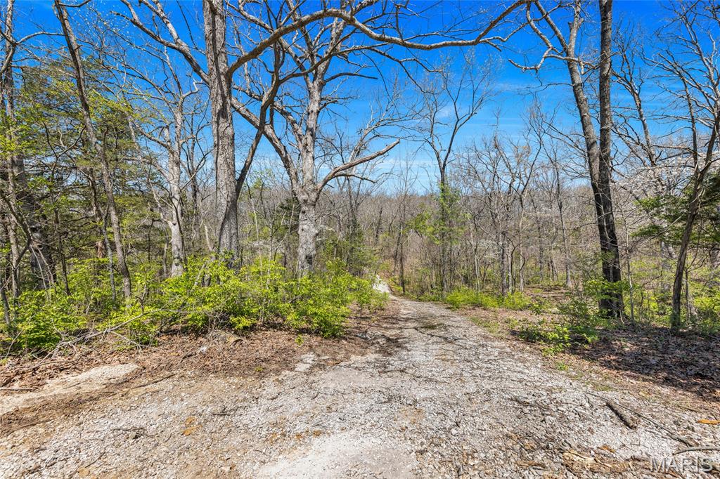 Tbd Nadler Road Wentzville, MO 63385 - Photo 6 of 8