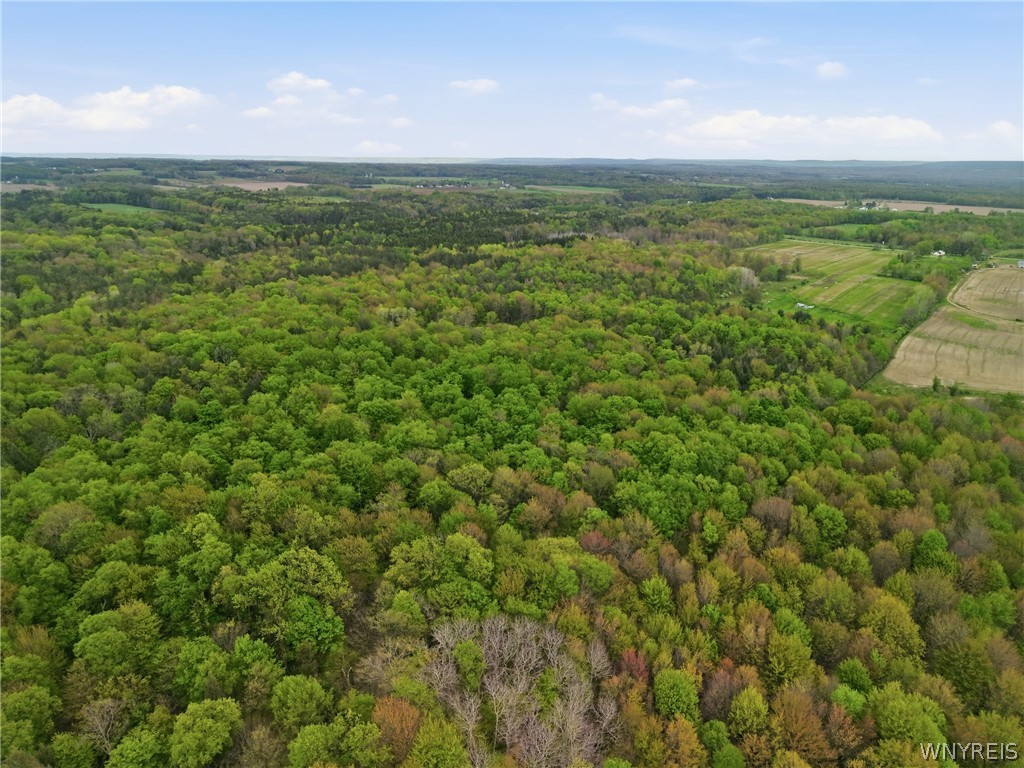 0 Genesee Road Lawtons, NY 14091 - Photo 10 of 34