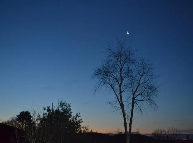 $694,900 | 130 Watson Road, Winchester, NH 03470