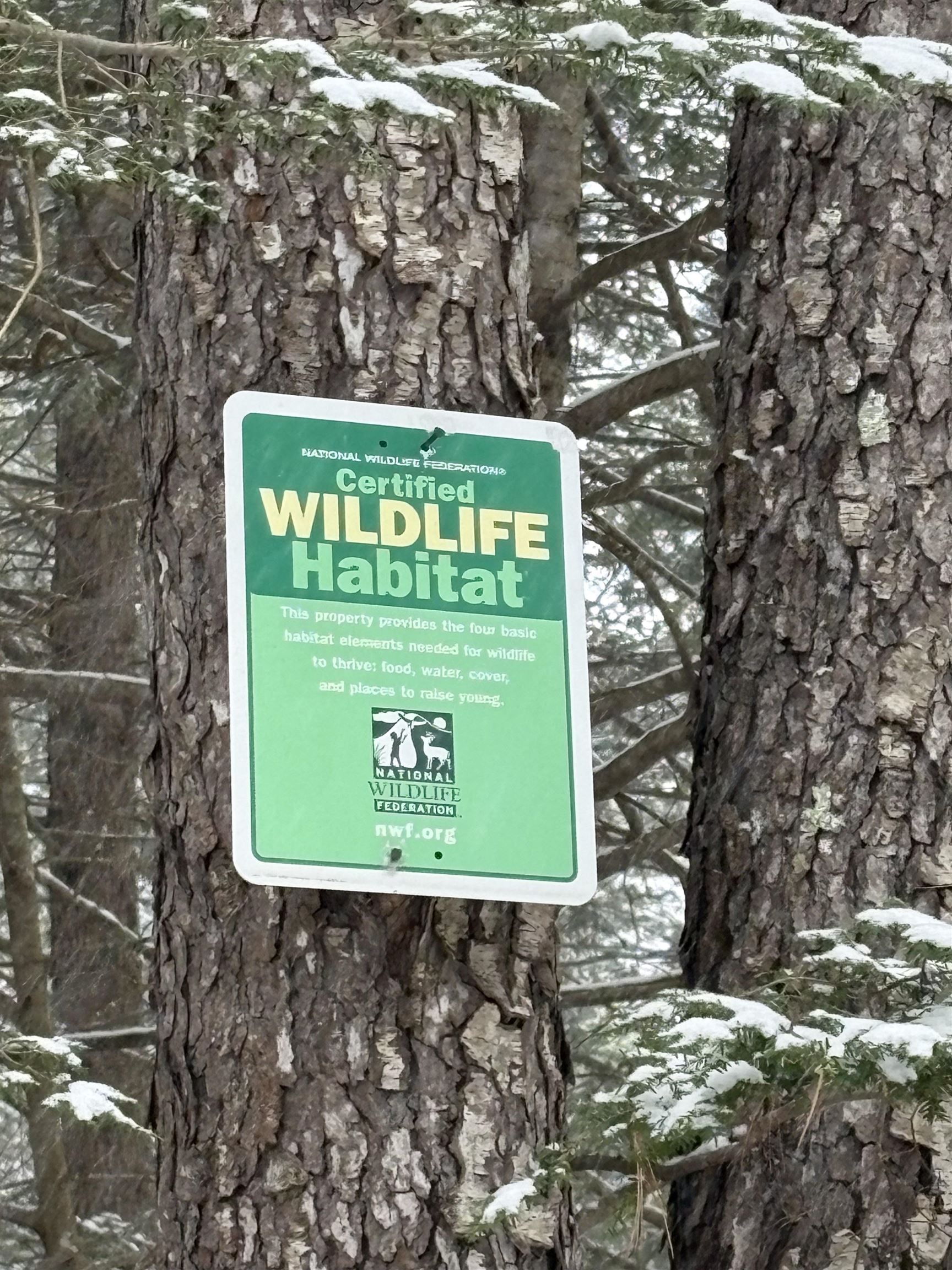 130 Watson Road Winchester, NH 03470 - Photo 50 of 51