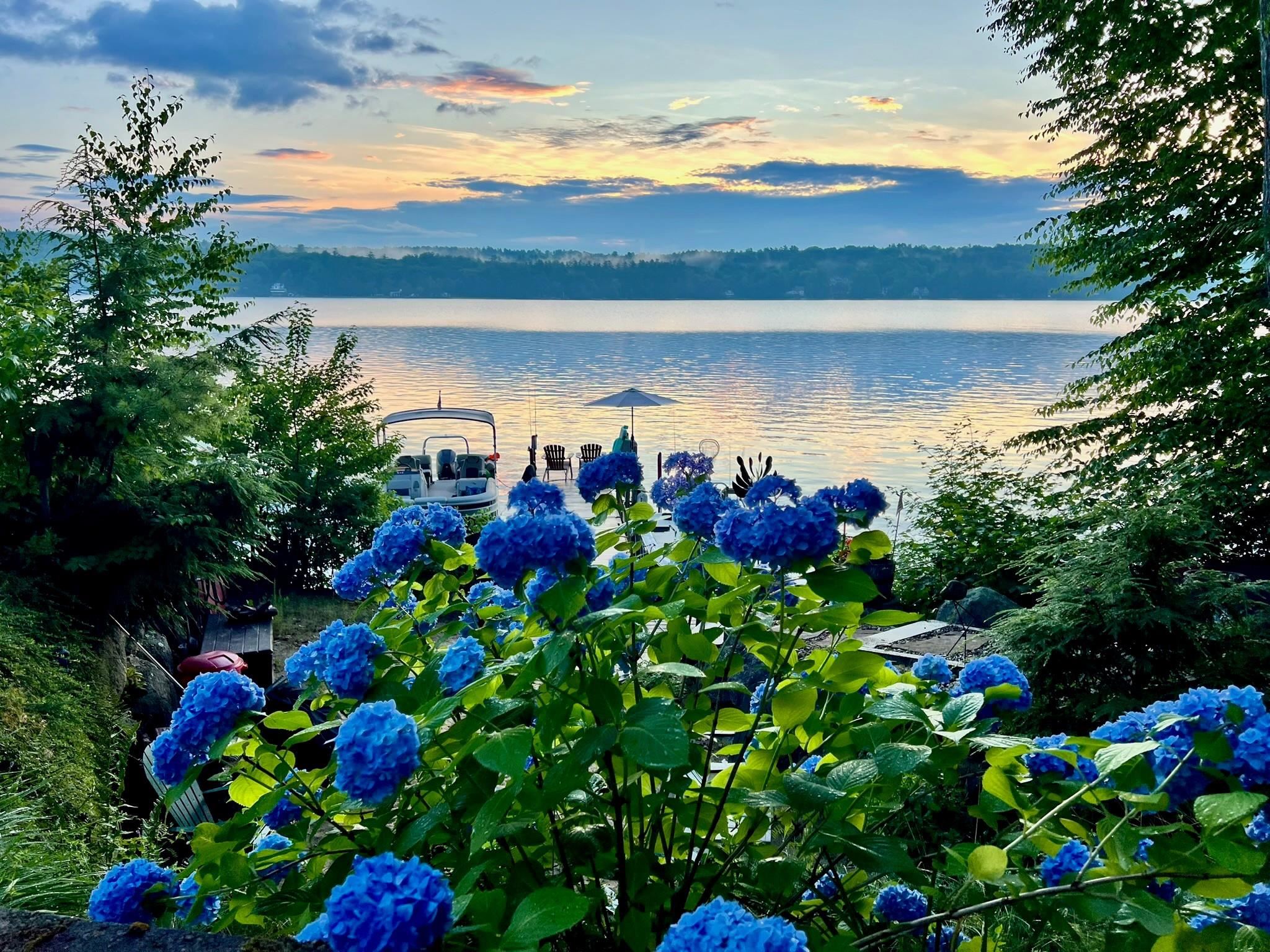 136 Black Brook Road Meredith, NH 03253 - Photo 2 of 60