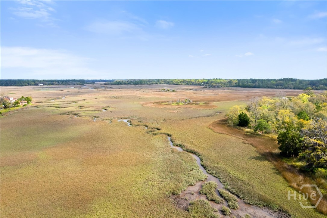 Lot 27 Cattle Hammock Road Midway, GA 31320 - Photo 17 of 30