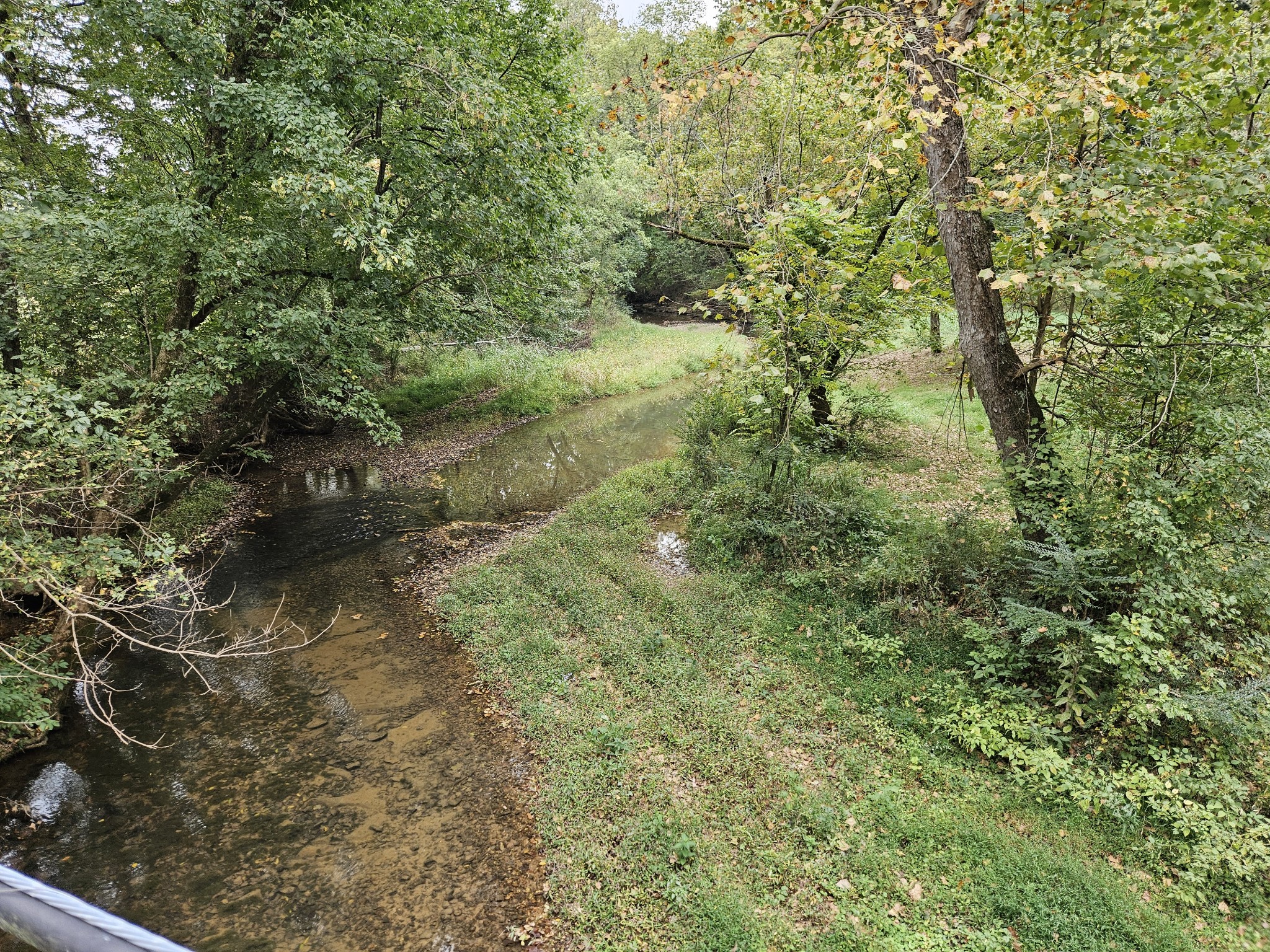 5570 J R Jones Road Cedar Hill, TN 37032 - Photo 4 of 6 Gallery Image 4
