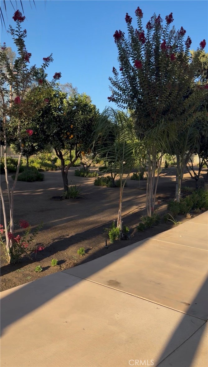 24720 Quail Run Road Homeland, CA 92548 - Photo 19 of 30