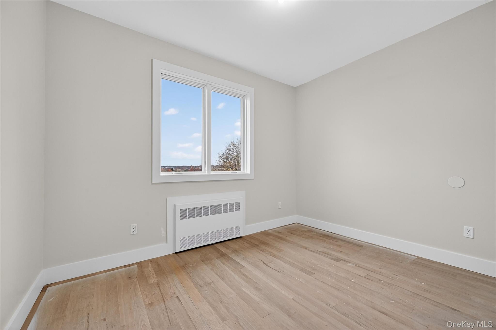 6 Milla Lane Spring Valley, NY 10977 - Photo 26 of 49 an empty room with wooden floor and windows