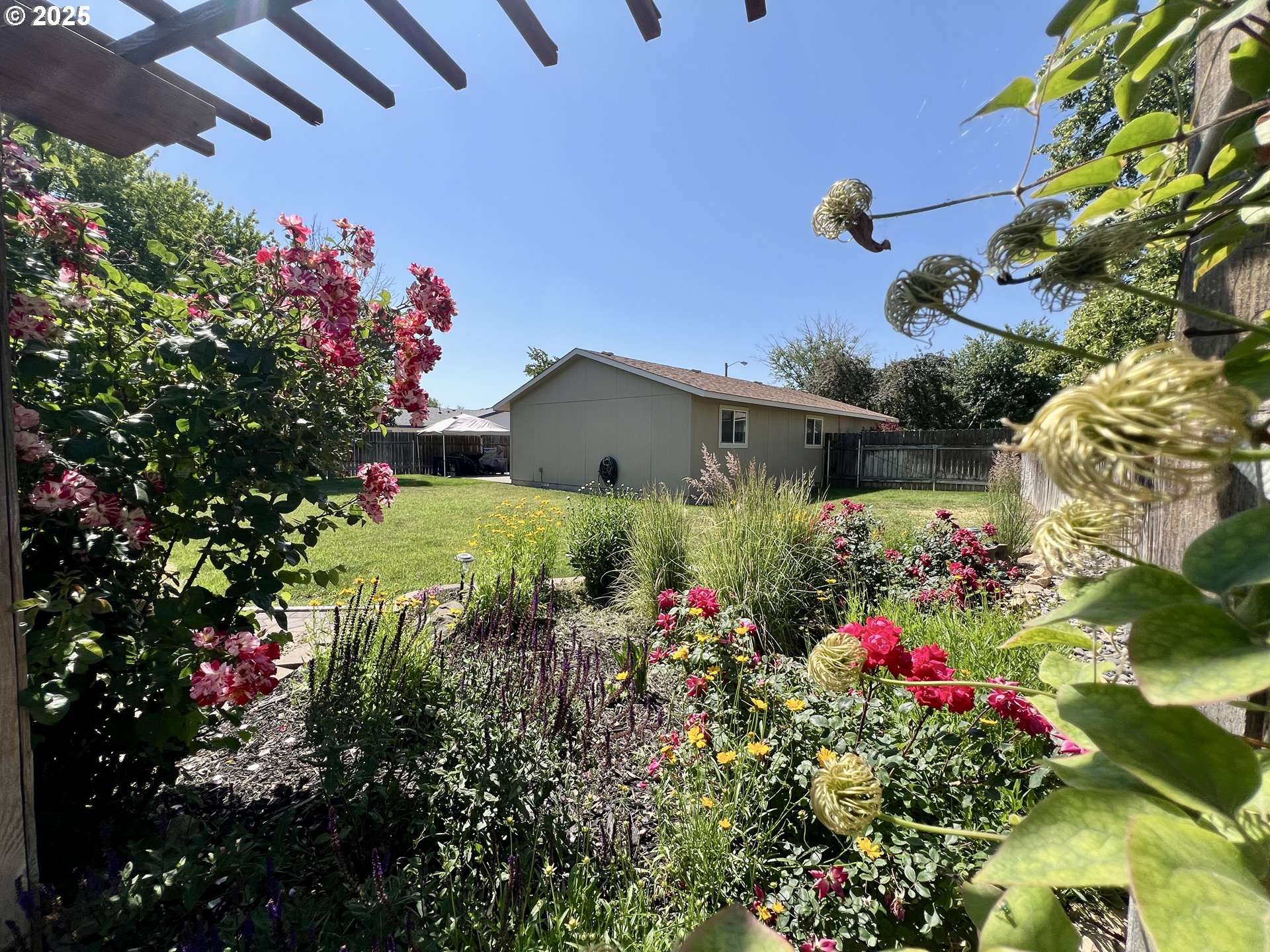 160 Heather Drive Stanfield, OR 97875 - Photo 18 of 21 a view of a flower in a garden