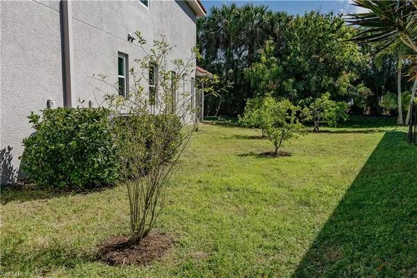 a view of yard